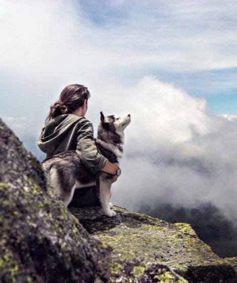 Be wild, be free. Grab your bag, bring your dog and let’s go!