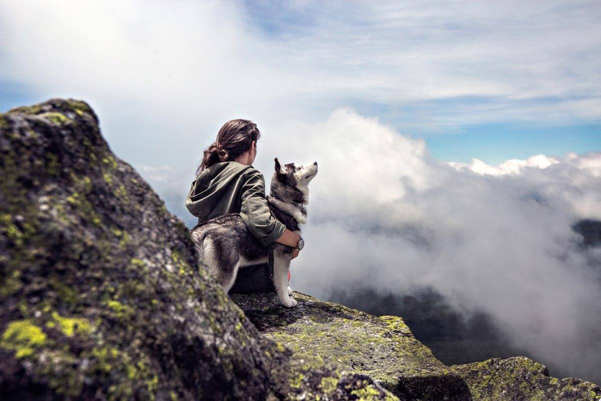 Be wild, be free. Grab your bag, bring your dog and let’s go!
