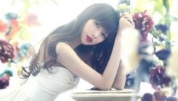 Best Wedding Dress collection for ladies