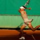 Hingis, 25-time Grand Slam champ, to retire